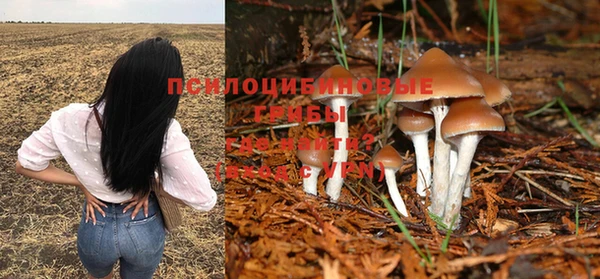 а пвп мука Абдулино