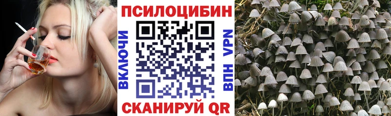 Псилоцибиновые грибы MAGIC MUSHROOMS Чехов